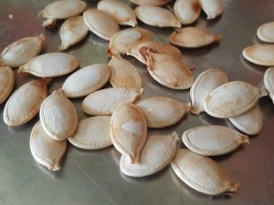 Bu Çekirdeğin Kilosu 5 Bin Lira