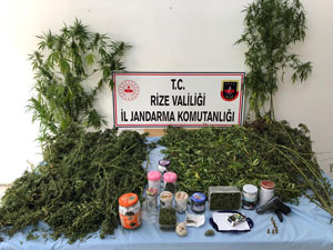 Rize'de Uyuşturucu Operasyonu