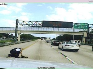 Otoyolda Otomobil Çarpan Köpeği Polis Kurtardı