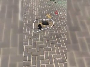 Mısır Topraklarından İsrail’e Havan Topu Saldırısı