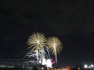 Tokyo’da Havai Fişek Festivalinden Renkli Görüntüler