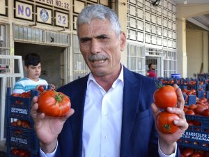 Tonlarca Domates Kabzımalların Elinde Kaldı