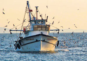 Balıkçıların Gözünü Meclise Çeviren Kanun Yolda