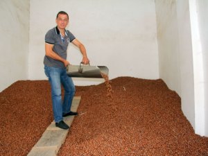 Fındık Fiyatı İstikrarı Yakaladı