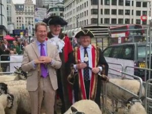 Londra’da Renkli Koyun Geçişi