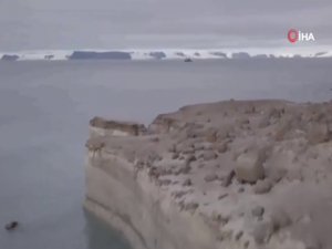 Rusya, Buzullar Eriyince 5 Yeni Adaya Sahip Oldu