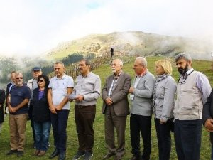 Yaylaların Geleceği Tehlikede