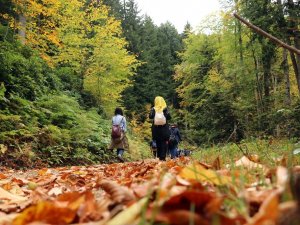 Gümüş Şehir ‘Altın’ Rengine Büründü, Dağcılar Fırsatı Kaçırmadı