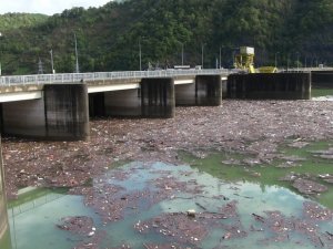 Her Sel Sonrası Borçka’daki Muratlı Barajı Çöplüğe Dönüyor
