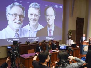 Nobel Tıp Ödülü Sahiplerini Buldu