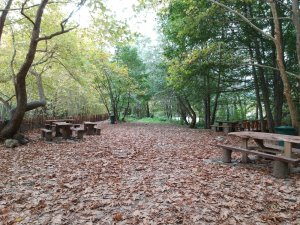 Türkiye’nin En Kuzeyi Sinop’ta Sonbaharın Renk Cümbüşü