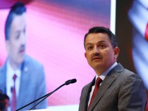 Meyve Ve Sebze Sektörüne 640 Milyon Liralık Yatırım