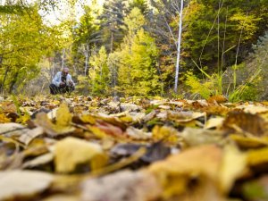 Zigana’da Renk Cümbüşü