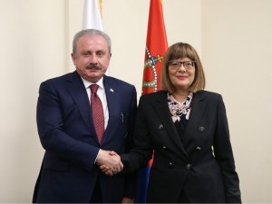 Şentop, Sırbistan Ulusal Meclis Başkanı Gojkoviç İle Görüştü
