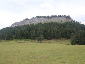 İsfendiyar Dağları’nın Saklı Güzelliği: Türkeli Hacıağaç Yaylası