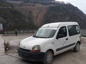 Artvin’de Yaylaya Bırakılan Sokak Köpekleri Hayvan Severler İle Belediyeler Arasında Krize Neden Oldu