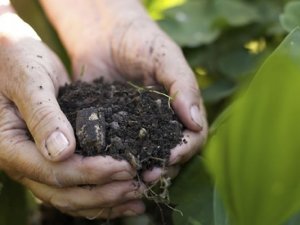Trabzon’un 2019 Yılı Toprak Verimlilik Raporu Açıklandı