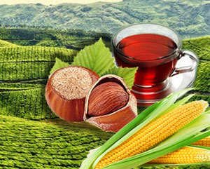 Çiftçilere Bu Yıl İçin Ödenecek Tarımsal Destekler Belirlendi. İşte Buzağı, Arıcılık, Çay ve Fındık Üreticilerine Verilecek Destek Miktarı