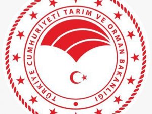 Organik Gübre Ve Sofralık Zeytin Destekleme Kapsamına Alındı