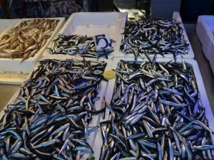 Hamside Son Yılların En Bereketli Dönemi Yaşanıyor