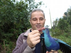 Yorgun Düşen Saz Horozu’nun Önce Bakımını Yaptı Sonra Da Doğaya Bıraktı
