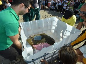 Tedavi Edilen Caretta ‘Astrid’ Denize Bırakıldı