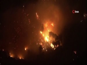 California’da Orman Yangınları Kontrol Altına Alınamıyor