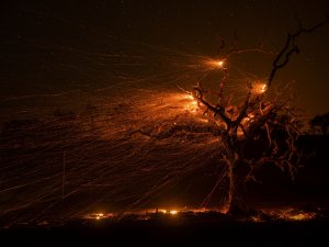 Kaliforniya Orman Yangınlarıyla Mücadele Ediyor