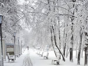 Rusya Beyaza Büründü