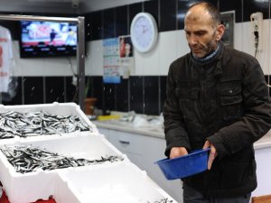 Balıkta İşler Tersine Döndü: Palamut Üzdü, Hamsi Güldürdü