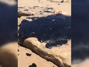 Brezilya Plajlarını Petrole Bulayan Yunan Gemisi Çıktı