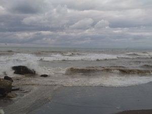 Karadeniz Kabardı, Dalgalar Sahili Kapladı