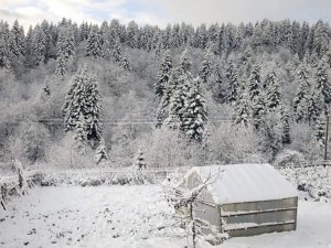 Ordu’ya Mevsimin İlk Karı Yağdı