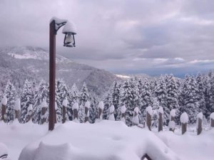 Giresun’da Yaylalar Beyaza Büründü
