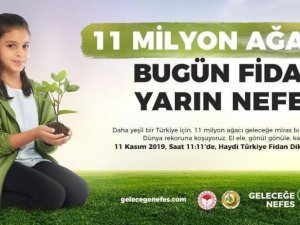 11 Milyon Fidandan 200 Bini Manisa’ya
