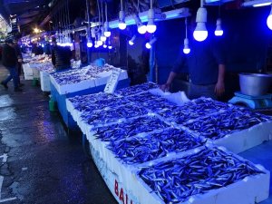 Hamsi Avındaki Bereket İhracat Rakamlarına Yansıdı