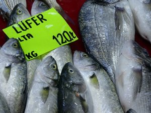 Lüferin Kilogram Fiyatı Bir Haftada 60 Lira Düştü