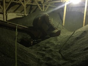 Ay Çekirdeği Deposuna Düşen Kadın Öldü