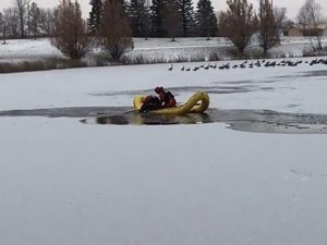 Gölde Mahsur Kalan Köpek Donmak Üzereyken Bulundu