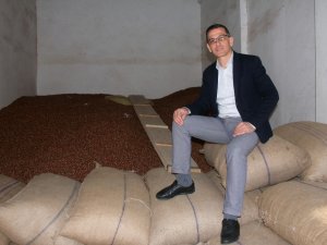 Fındık Fiyatı Haftayı 18,50 Liradan Kapatıyor