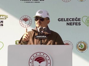 Bakan Pakdemirli: "13 Bin Futbol Sahası Kadar Alana Fidan Dikiliyor"