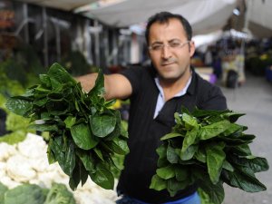 Fiyatlar Düşünce Ispanak Satışları Arttı