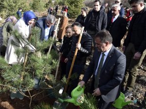 Gümüşhane’de 70 Bin Fidan Toprakla Buluştu