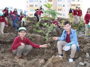 Himalayalar’dan Trabzon’a