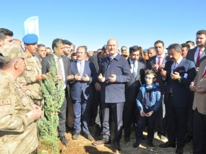 Bakan Soylu, Namaz Dağı Üs Bölgesinde Fidan Dikim Etkinliğine Katıldı