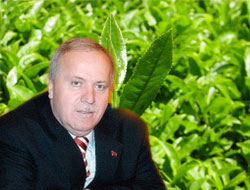 Çay Üreticisi Sahipsiz