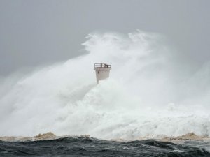 Hagibis Tayfunu’nda Ölü Sayısı 91’e Yükseldi