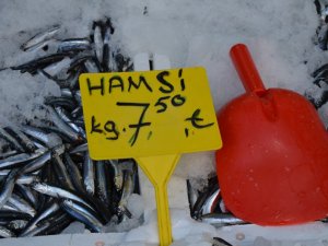 Yerli Hamsi Tezgâhlarda 7,5 Tl