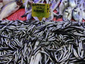 Balık Fiyatları Havaya Endeksli