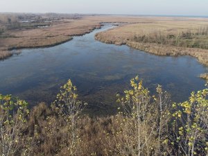 Karadeniz’in İncisi: ’Gölyazı’